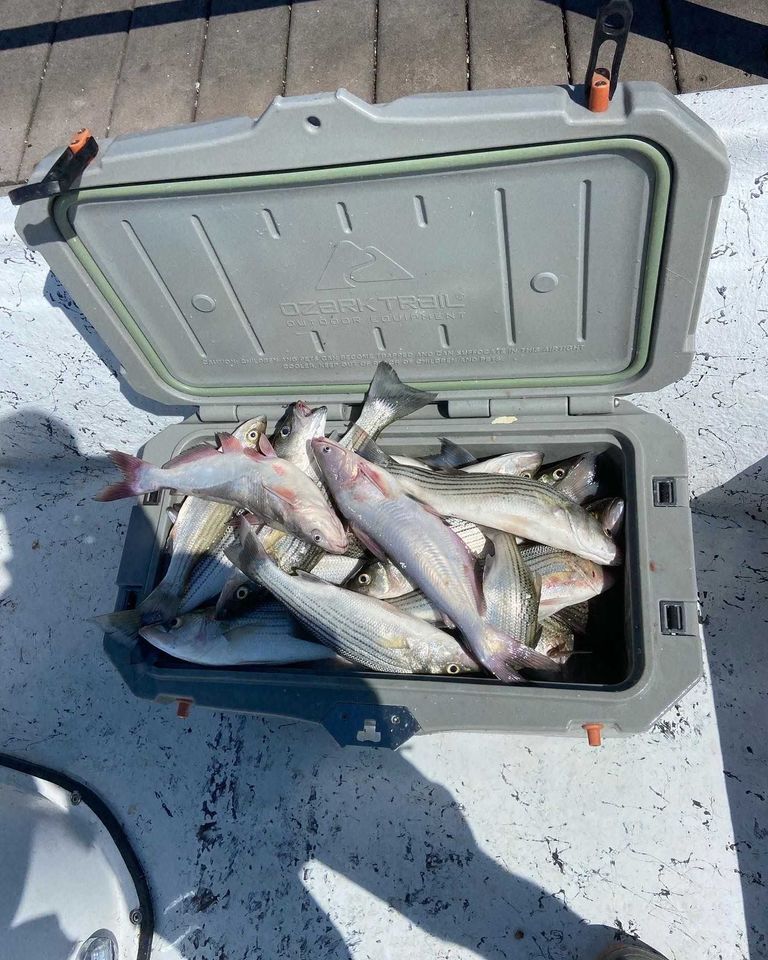 Enlarged photo by Troys Guide Service