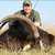 Buffalo Trails Hunting Safaris