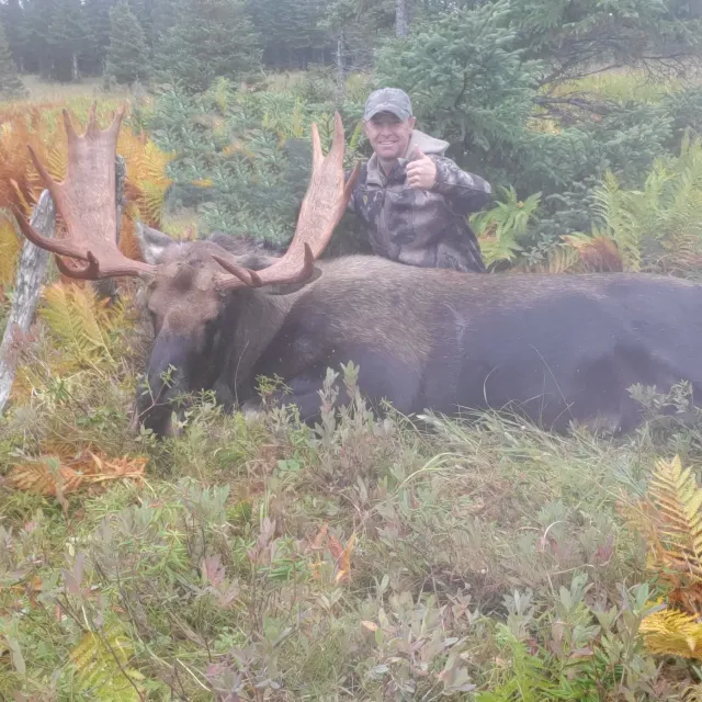 I'm a big game hunter, moose hunting being the number one...
