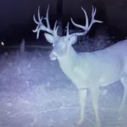 Ohio Whitetail Ridge Outfitters