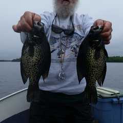 Photo by Basswood Trails Guide Service