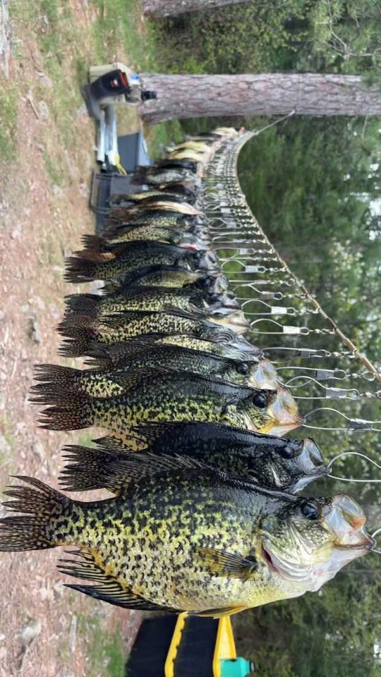 Enlarged photo by Basswood Trails Guide Service