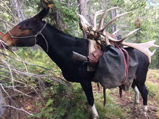 Food & Nutrition cover