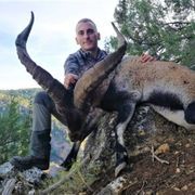 Traditional Hunt in Spain