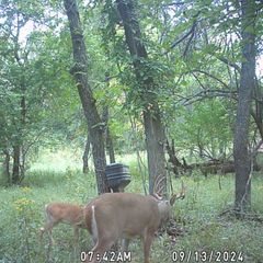 Photo by BR Outfitters