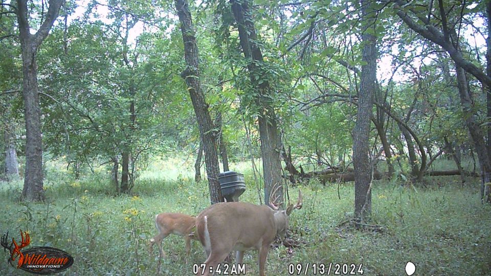 Enlarged photo by BR Outfitters