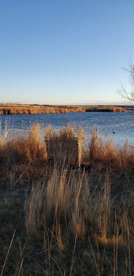 Flambeau Braided Decoy line is a must in every blind