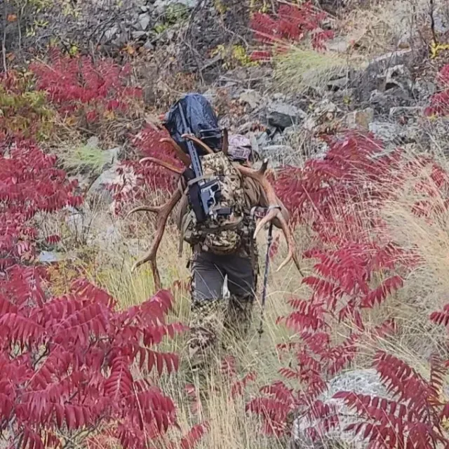 I have ran Kuiu packs and decided to try a Mystery Ranch....