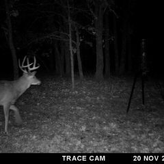 Photo by BR Outfitters