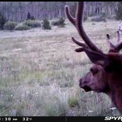 Smile! You're on candid camera 🎥