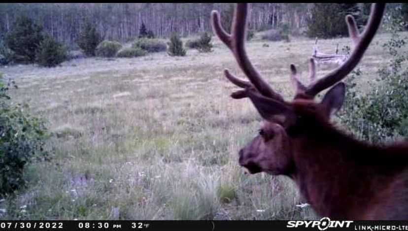 Smile! You're on candid camera 🎥