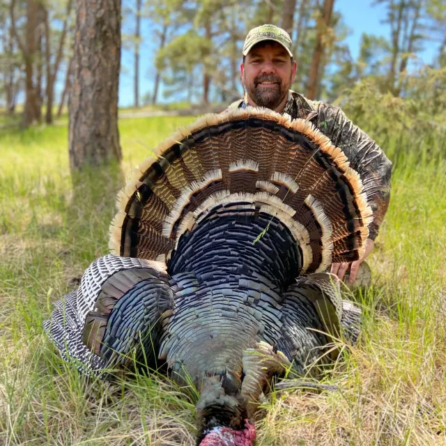 Super Quality Decoy and a must have in your collection of...