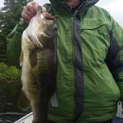 Photo by Basswood Trails Guide Service