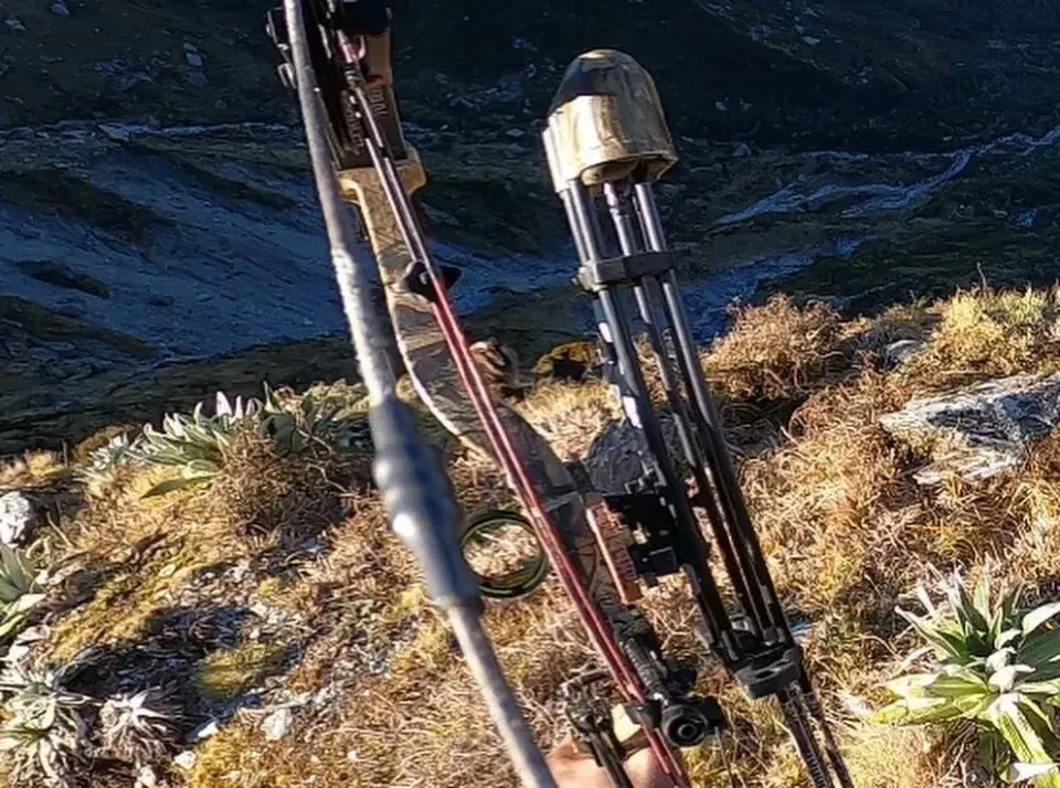 Winter alpine tahr hunt approved