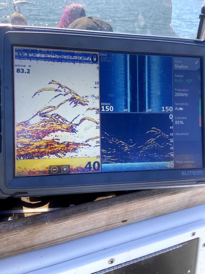 Enlarged photo by Troys Guide Service