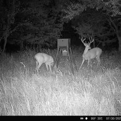 Photo by BR Outfitters