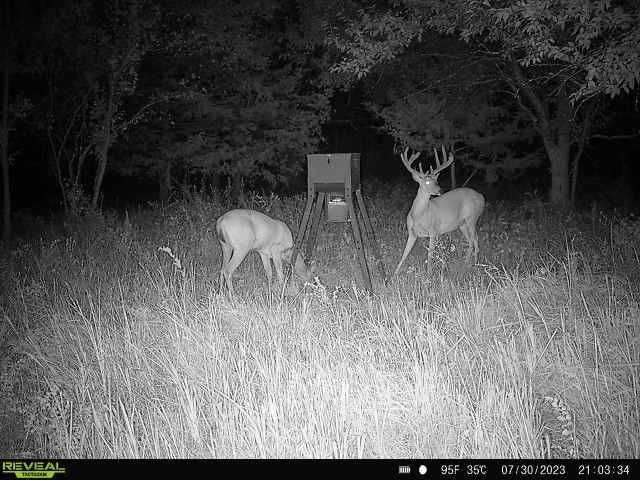 Enlarged photo by BR Outfitters