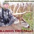 Backwoods Whitetails Outfitters