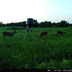 Photo by BR Outfitters