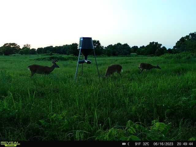 Enlarged photo by BR Outfitters