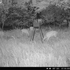 Photo by BR Outfitters