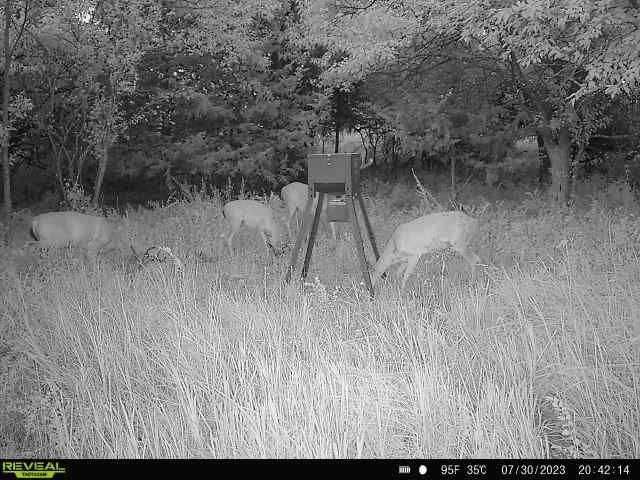 Enlarged photo by BR Outfitters