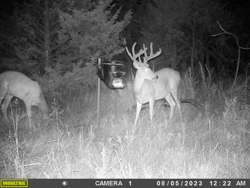 Enlarged photo by BR Outfitters