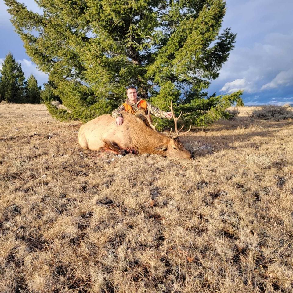 Friend with his bull
