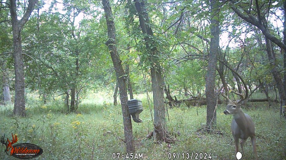 Enlarged photo by BR Outfitters