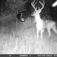 Photo by BR Outfitters