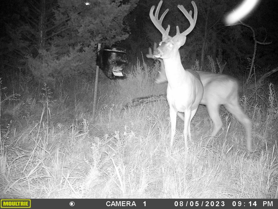 Enlarged photo by BR Outfitters