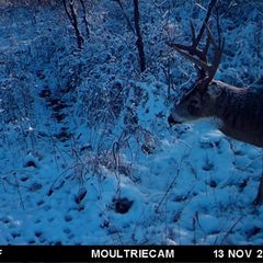 Photo by BR Outfitters