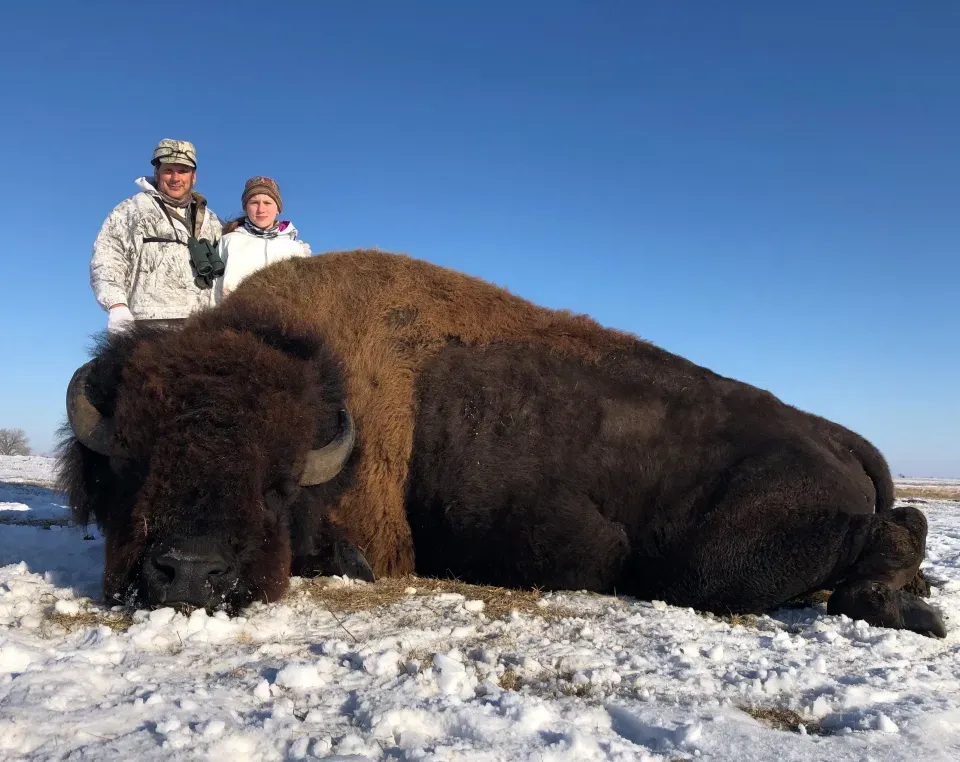 A Super Trophy class buffalo is a big butchering project....