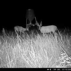 Photo by BR Outfitters