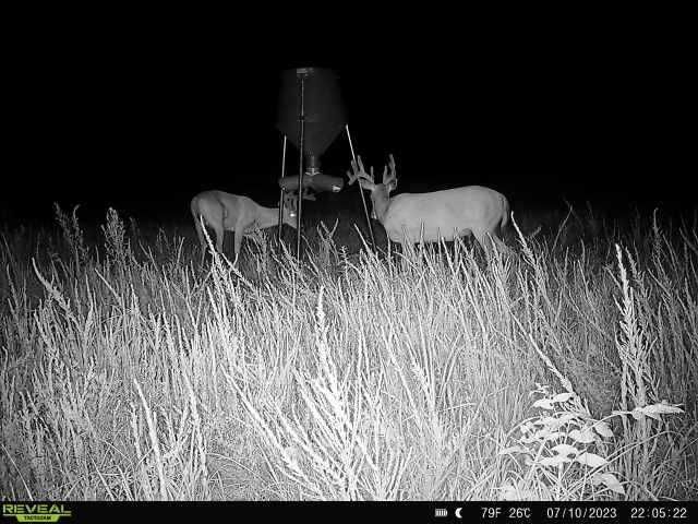 Enlarged photo by BR Outfitters