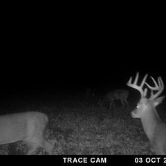 Photo by BR Outfitters