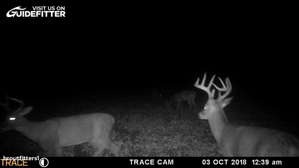 Enlarged photo by BR Outfitters