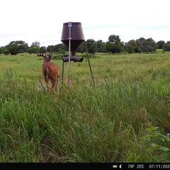 Photo by BR Outfitters