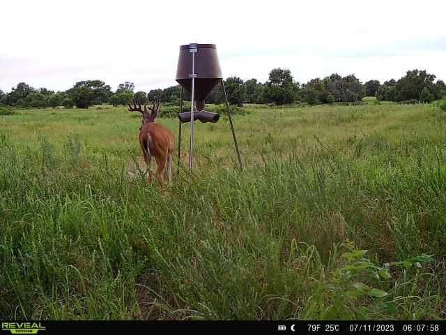 Enlarged photo by BR Outfitters