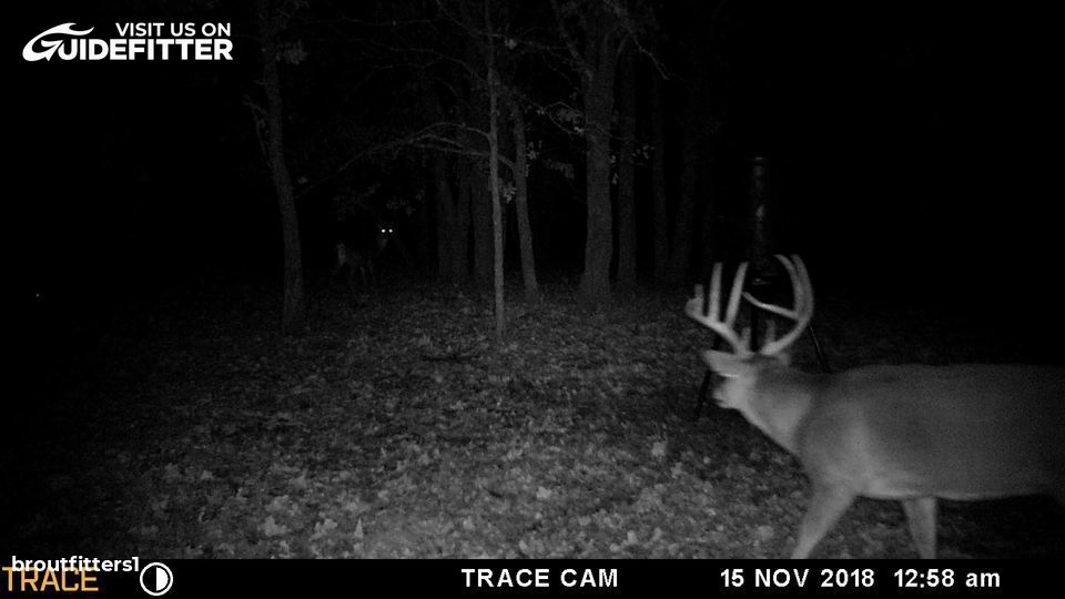 Enlarged photo by BR Outfitters