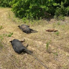 Photo by Troys Guide Service