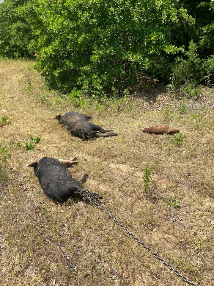 Enlarged photo by Troys Guide Service