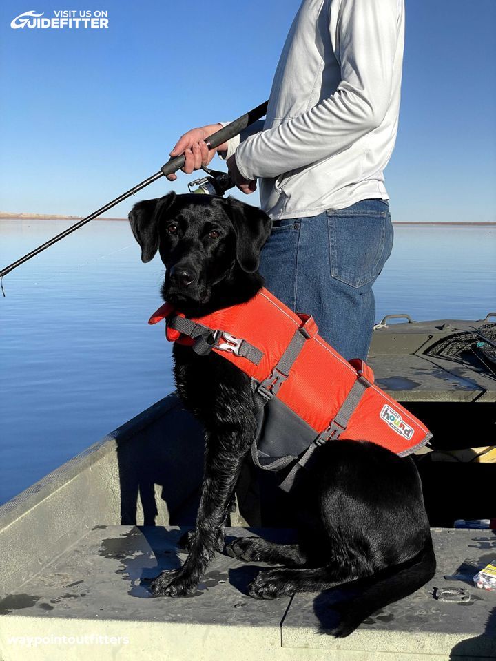 Enlarged photo by Waypoint Outfitters