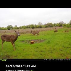 Photo by BR Outfitters