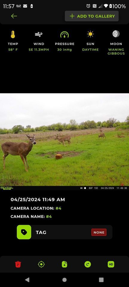 Enlarged photo by BR Outfitters