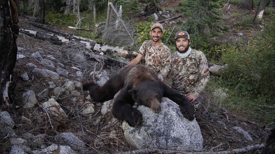 Trophy Black Bear Hunting in California | Trinity Fork Outfitters