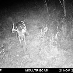 Photo by BR Outfitters