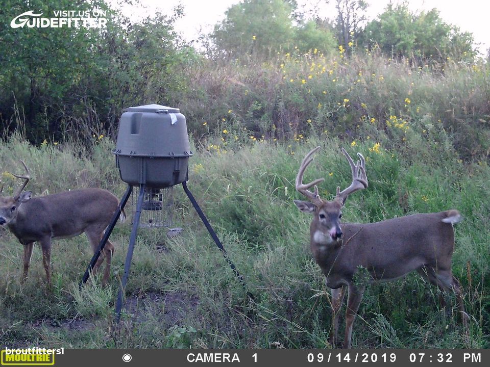 Enlarged photo by BR Outfitters