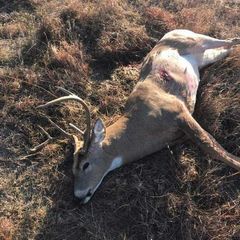 Photo by BR Outfitters