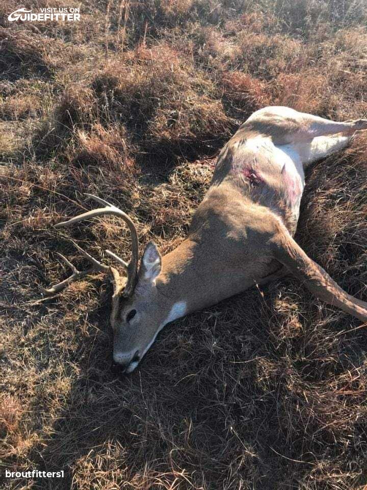 Enlarged photo by BR Outfitters